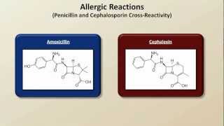 Important Side Effects and Toxicities Antibiotics  Lecture 8 [upl. by Ahsenid]