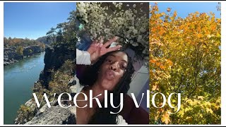 VLOG  trunk or treat marshalls homegoods amp target haul hiking new macbook amp halloween weekend [upl. by Mure]