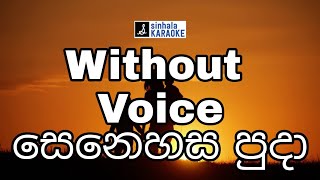 Senehasa puda ammawarune wage karaoke  සෙනෙහස පුදා අම්මාවරුන් වගේ  Malani Bulathsinghala [upl. by Oiril35]