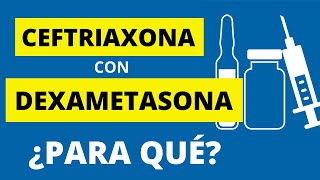 CEFTRIAXONA CON DEXAMETASONA ¿PARA QUÉ [upl. by Enale239]