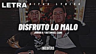 Junior H Natanael Cano  Disfruto Lo Malo LetraLyrics 2023 [upl. by Terra]