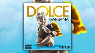 Trippie Boi  Dolce Gabbana Official Audio [upl. by Neeron352]