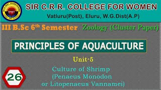 26 BSc 36  Principles of Aquaculture  Unit 5  Culture of Shrimp [upl. by Packston400]