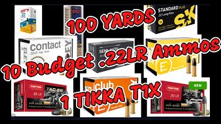 100 yards 10 Budget 22LR Ammunitions and 1 TIKKA T1X Shooting groups on the Cheap [upl. by Barret]