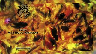 PLAGUE RIDER UK  Without Organs Experimental Death Metal Transcending Obscurity [upl. by Francyne889]