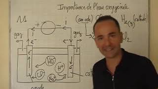 cours TS  chimie  electrolyse du chlorure de sodium réactions aux électrodes [upl. by Gerald]