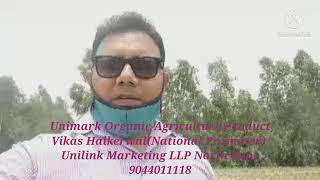 Unilink Organic Product Result in Pipermint Unnao UP💥💥💥मेंथा 9044011118 [upl. by Knight779]