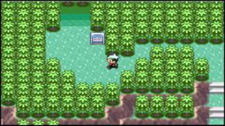 Pokemon Emerald  Part 11 Catching all 12 Legendaries [upl. by Yordan491]