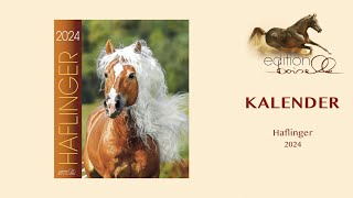 Haflinger Kalender 2024 [upl. by Edy]