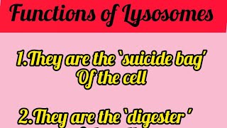 Functions of Lysosomes shortsfeed shorts youtubeshorts lysosome [upl. by Bates205]