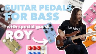 How To Use Guitar Pedals For Bass w Roy MitchellCárdenas [upl. by Lussier]