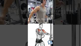 5 Best Upper Chest Exercises for Mass and Strength [upl. by Ecnarrot831]