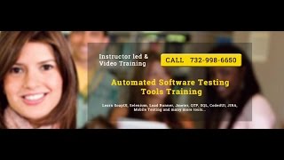 Selenium with JAVA Web Software Automated Testing Training Tutorial Shopping Cart Testing [upl. by Nnaeinahpets]