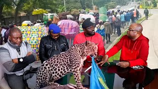 BOKETSHU  ENTRE MABELE NA LEOPARD TO BUNDELA NINI GOMA EST TOMBÉ [upl. by Selrac]