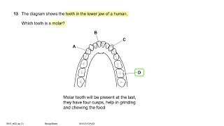 061021ON23  0610w23qp21  2023OctoberNovember IGCSE Biology MCQ Past Paper solving [upl. by Ennaoj]