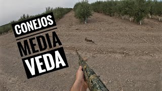 CAZA de CONEJOS 🐰 media veda [upl. by Elboa134]