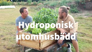 Hydroponisk utomhusbädd  Hemmaodlat [upl. by Epilif]