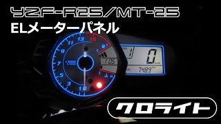 YZFR25MT25 ELメーター ホワイトパネル [upl. by Llenrahc688]