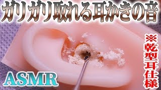 【ASMR】ゴッソリ取れるリアルなガリガリ耳かき♡“乾型耳仕様”ステンレス耳かきで深く鼓膜まで耳掃除の音♪両耳同時【音好き】DIYのシリコン疑似耳バイノーラルマイクを使用（左右回転あり〼） [upl. by Kcirret]