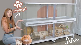 NiteAngel Stacker Series Hamster Cage Review [upl. by Eceirehs]