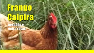 COMO FAZER FRANGO CAIPIRA MUITO GOSTOSO E SIMPLES [upl. by Nagem]