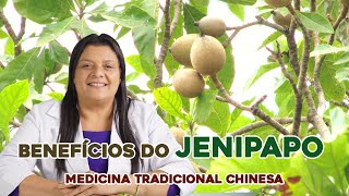 Os Benefícios do Jenipapo  MTC Dicas de Saúde [upl. by Anilocin]