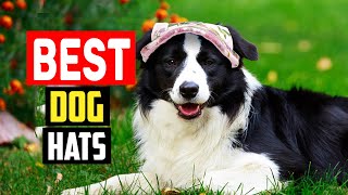 Top 5 Best Dog Hats in 2023 [upl. by Lewse787]