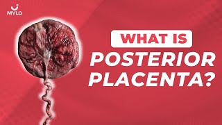 What Is Posterior Placenta Meaning In Hindi What Does Low Lying Posterior Placenta MeanMylo Family [upl. by Atinav]