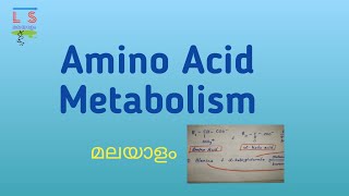 Amino Acid Metabolism  Protein  Biochemistry  Malayalam [upl. by Boelter]