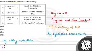 Choose the correct pair from the following a Polymerases  Break the DNA into fragments b Nuc [upl. by Jaco562]