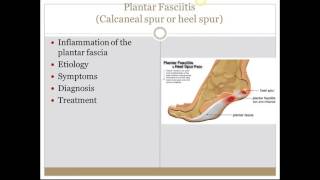 Skeletal Muscle Diseases [upl. by Boleslaw]