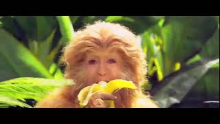 Action movie The monkey king Full movie HD [upl. by Eniffit]