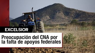 Urge restablecer apoyos federales para productores agrícolas ante sequía CNA [upl. by Eeram]