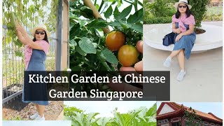 Stoneboat at Jurong Lake Gardens and Kitchen Garden at Chinese Gardens Singapore [upl. by Dric]