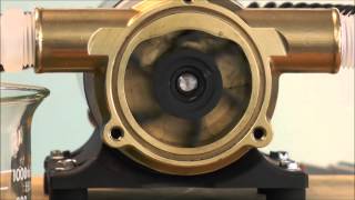 How a Jabsco Flexible Impeller Pump Works [upl. by Ahl370]