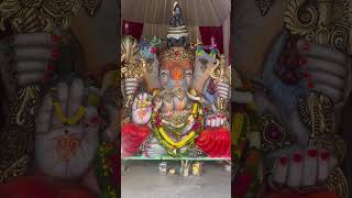 Dwaraka nagar kaa Raja dwarakanagar kothapet jaibologaneshmaharajkijai ganesh [upl. by Morse836]