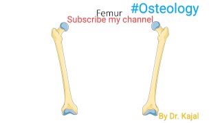 Anatomy of femur 🦴ll Its features and attachments ll Part l [upl. by Llezo]