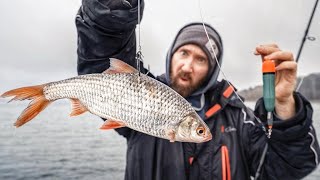 Mit Köderfisch und Pose auf riesige Winterhechte BISS auf BISS [upl. by Ylrac]