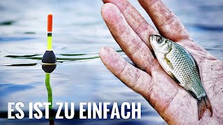 Mit Köderfisch im Dorfteich angeln [upl. by Farmer]