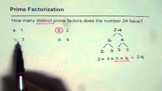 01 Distinct Prime Factors for 24 [upl. by Ydnil73]