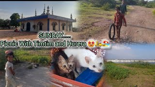 sunday vibes ✨️ youtube picnic sunday views viralvideo river viral yt cat sundayfunday [upl. by Koo]