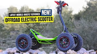 Top 8 Electric Scooters Ranked by Pricing and OffRoad Capabilities in 2020 [upl. by Calvert]