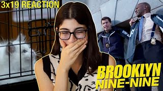 CAT BURGLARS Brooklyn NineNine 3x19 Reaction [upl. by Odnam]