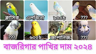 বাজরিগার পাখির দাম 2024  পাখি পালন  Budgerigar Bird price In Bangladesh 2024  সৌখিনতার তথ্য [upl. by Dloreh]