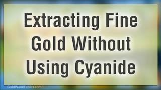 Extracting Fine Gold Without Using Cyanide [upl. by Elmer]