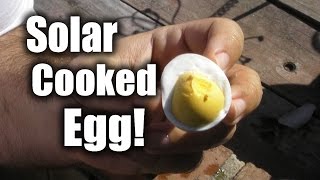 Solar Cooked Egg [upl. by Resor826]