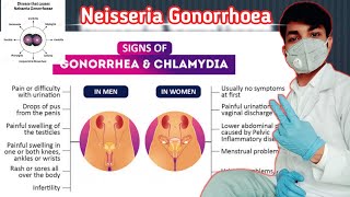 Neisseria Gonorrhoeae in hindi  neisseria gonorrhoeae lab diagnosis  Sexually Transmitted diseases [upl. by Lifton]