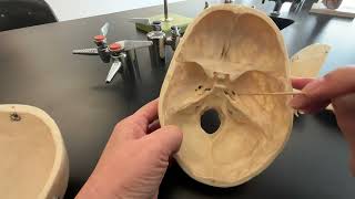 Skull Sphenoid and Ethmoid Bone and their bone markings [upl. by Neeven906]