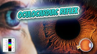 Oculocardiac reflex  Your EYEBALLS  EYNTK 👁️👁️💉😳💊🔊💯✅ [upl. by Babby]