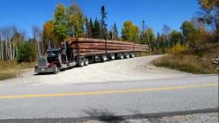 Peterbilt 359 Classic big smoke Logging [upl. by Ikiv698]